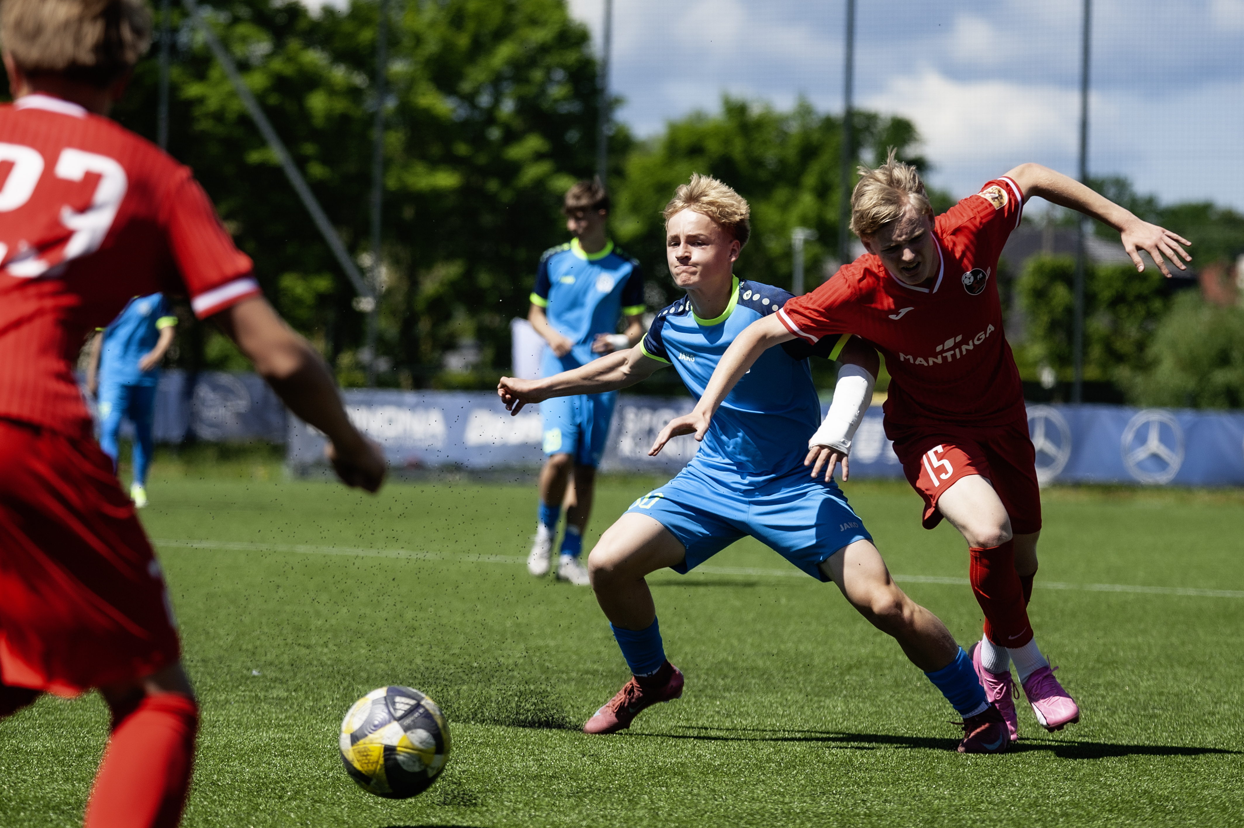 dsc8878.jpg